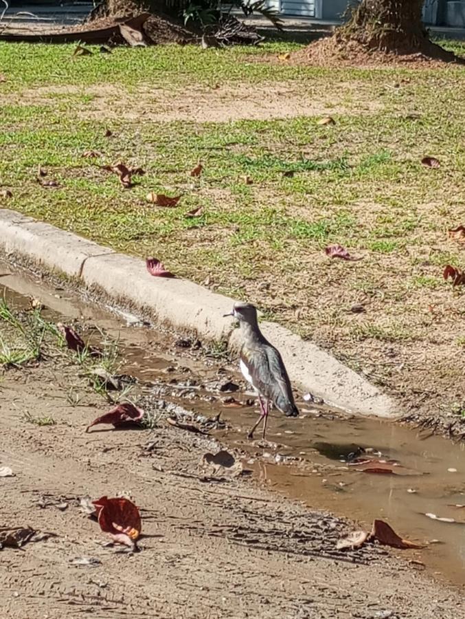 Pousada 5 Cachoeiras Ubatuba Luaran gambar