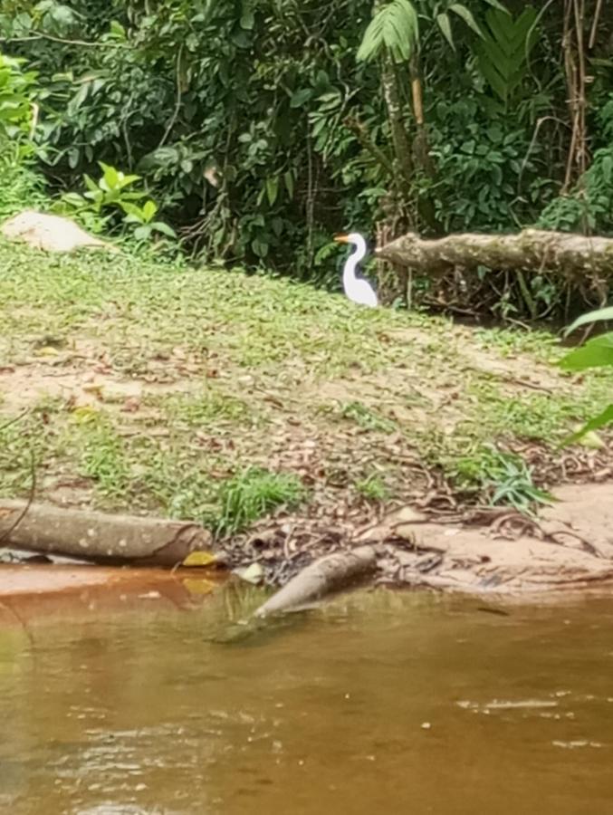 Pousada 5 Cachoeiras Ubatuba Luaran gambar